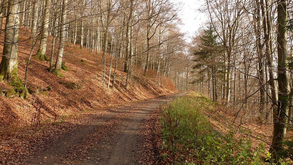 Sauerland Hoehenflug