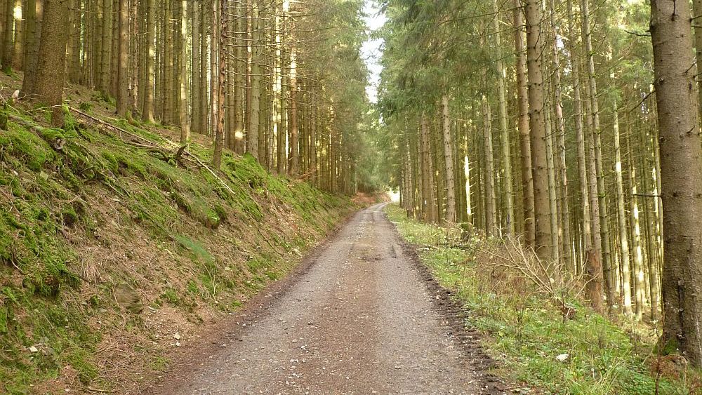 Sauerland Hoehenflug