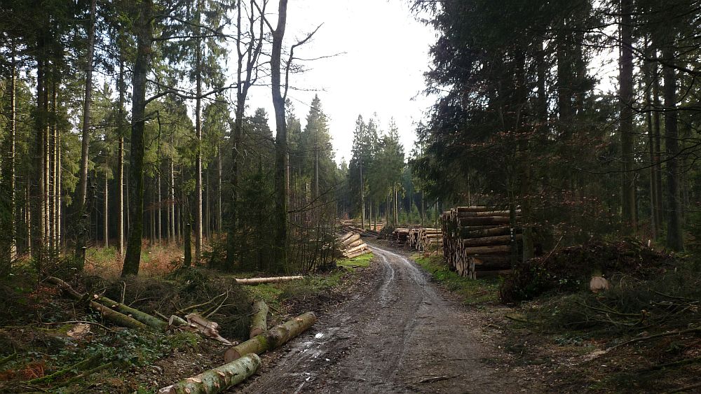Sauerland Hoehenflug
