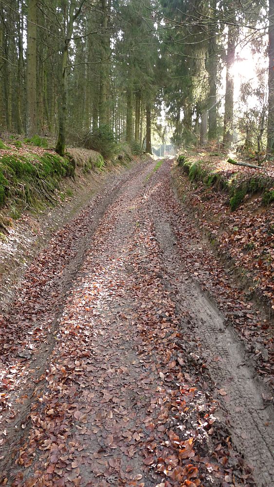 Sauerland Hoehenflug
