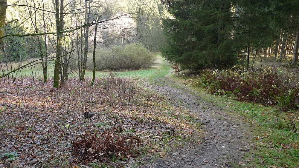 Sauerland Hoehenflug