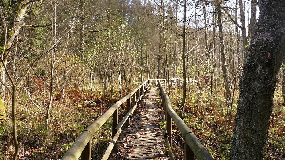 Sauerland Hoehenflug