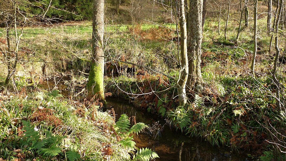 Sauerland Hoehenflug