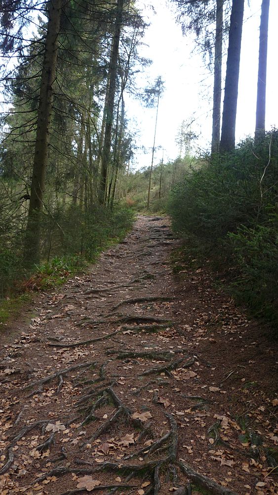 Sauerland Hoehenflug