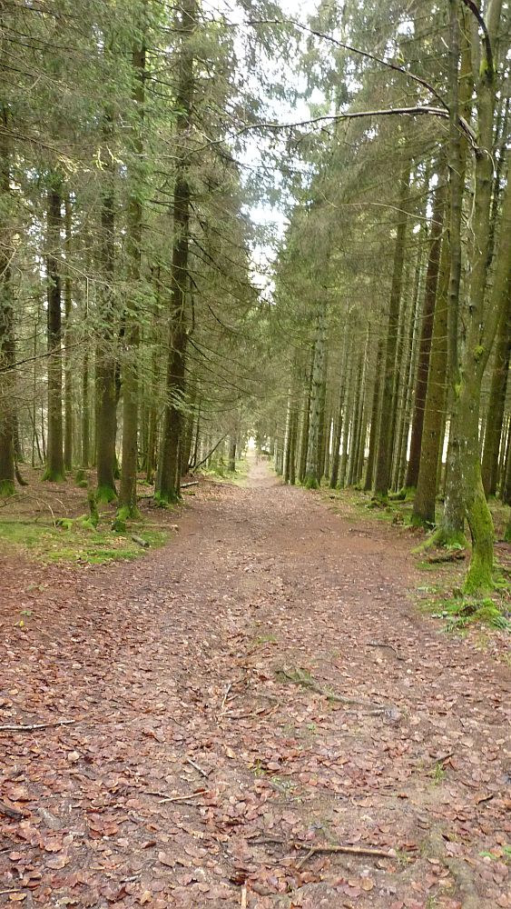 Sauerland Hoehenflug