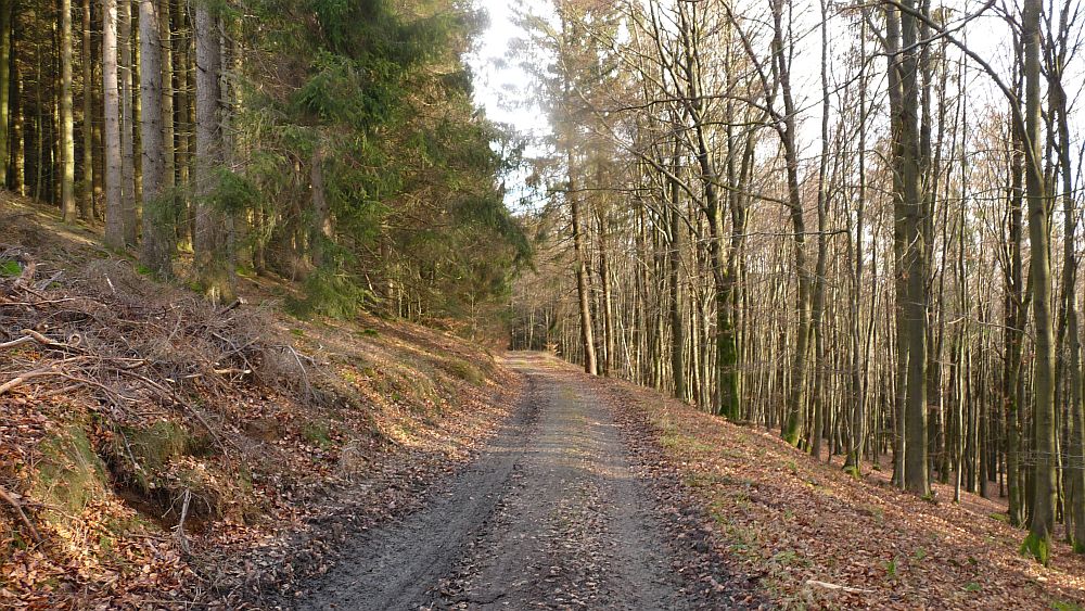 Sauerland Hoehenflug