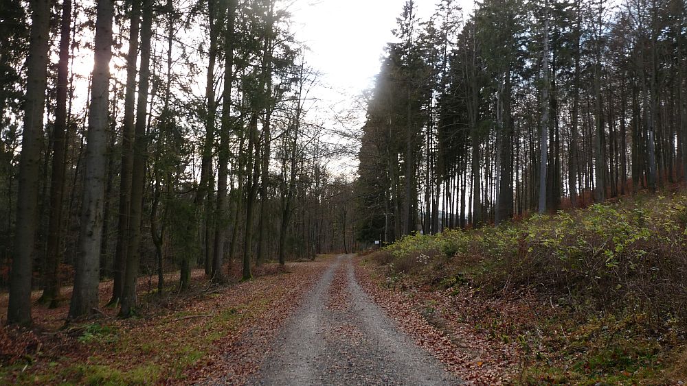 Sauerland Hoehenflug