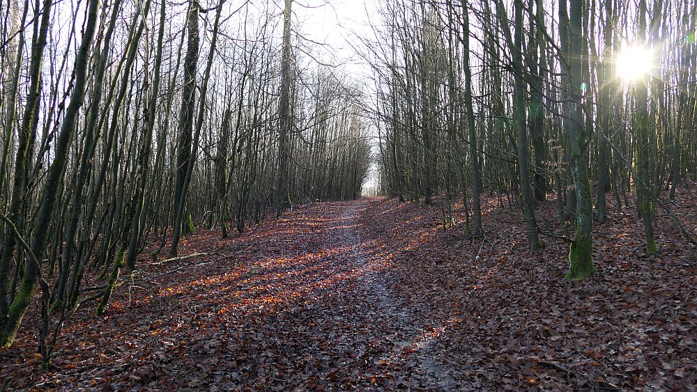 Sauerland Hoehenflug
