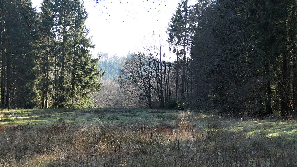 Sauerland Hoehenflug