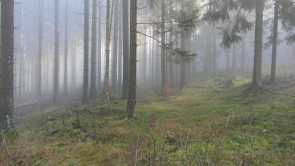 Sauerland Hoehenflug