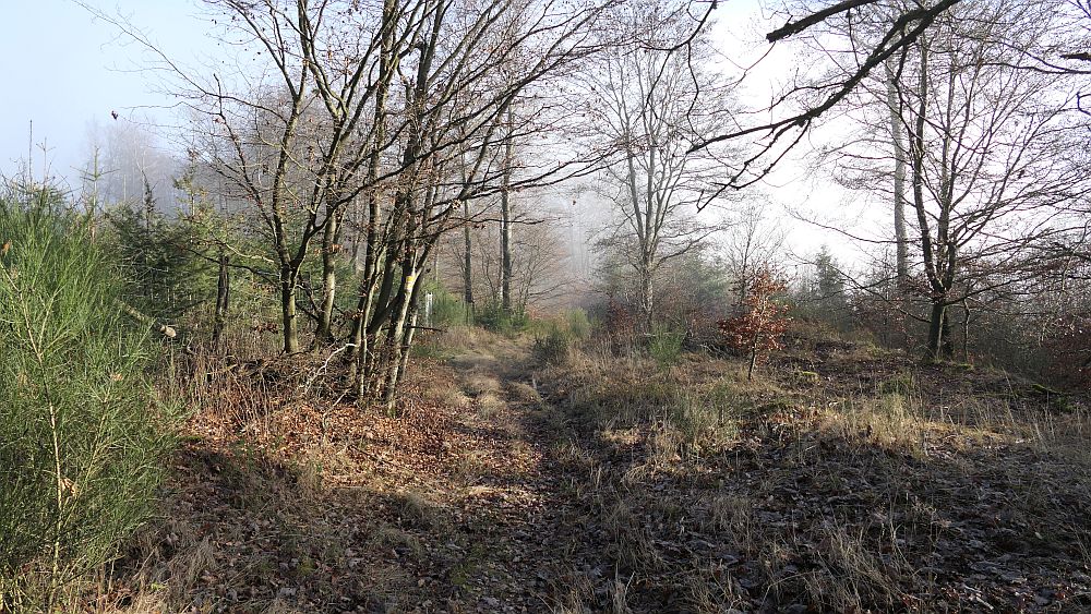 Sauerland Hoehenflug