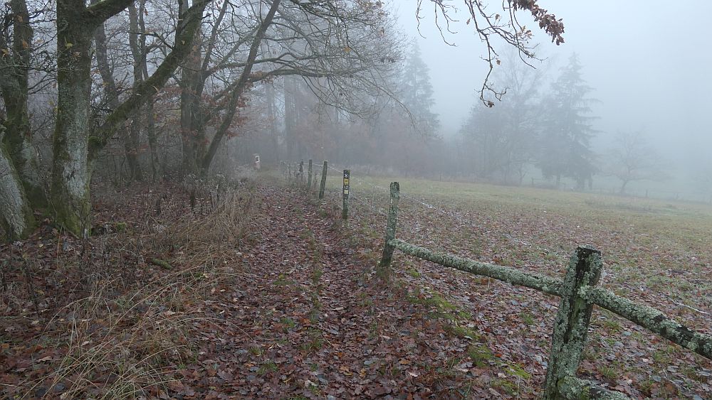 Sauerland Hoehenflug