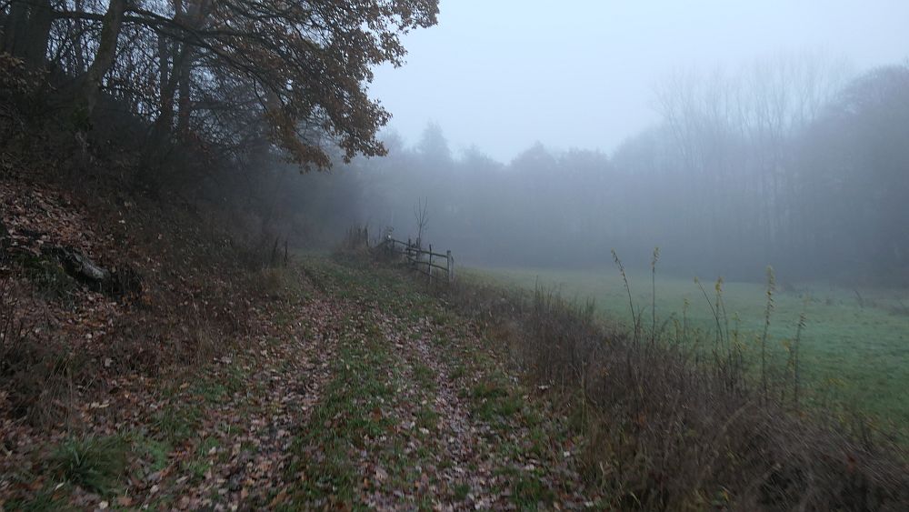 Sauerland Hoehenflug