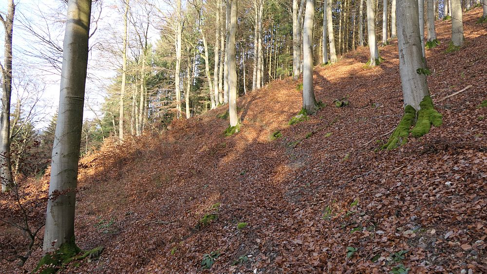 Sauerland Hoehenflug