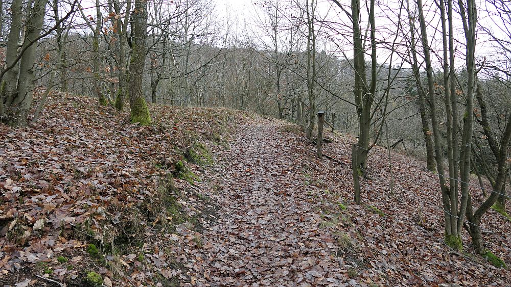 Sauerland Hoehenflug
