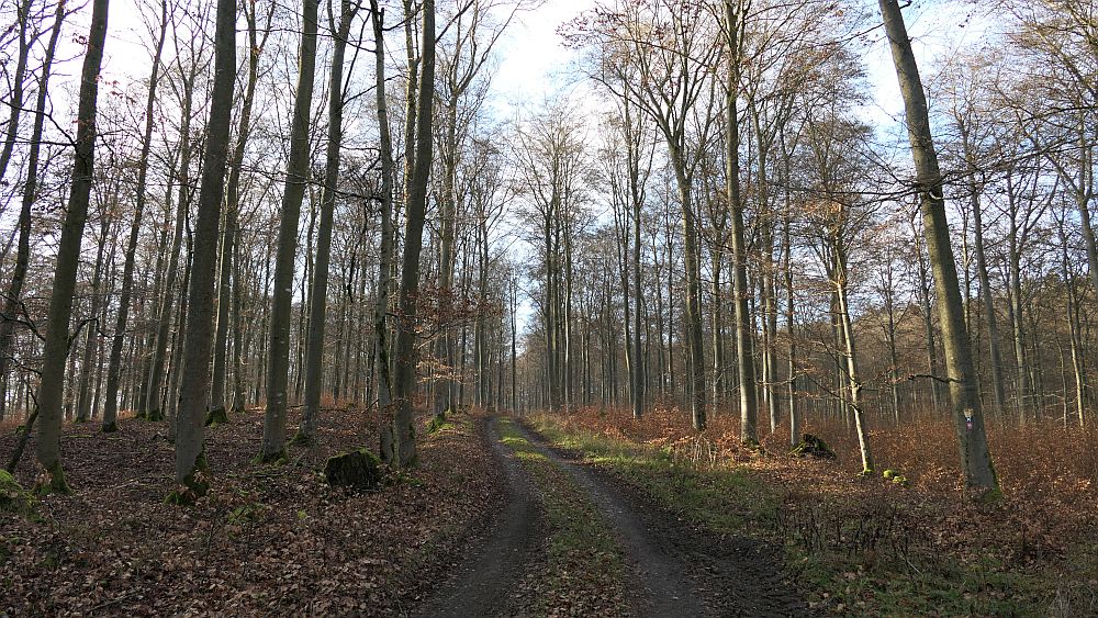 Sauerland Hoehenflug