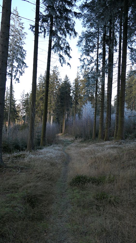 Sauerland Hoehenflug