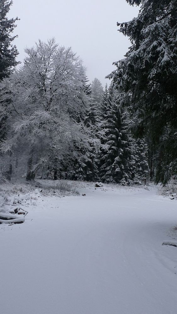 Sauerland Hoehenflug