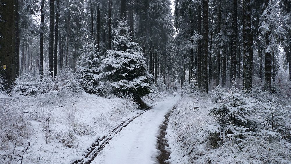 Sauerland Hoehenflug