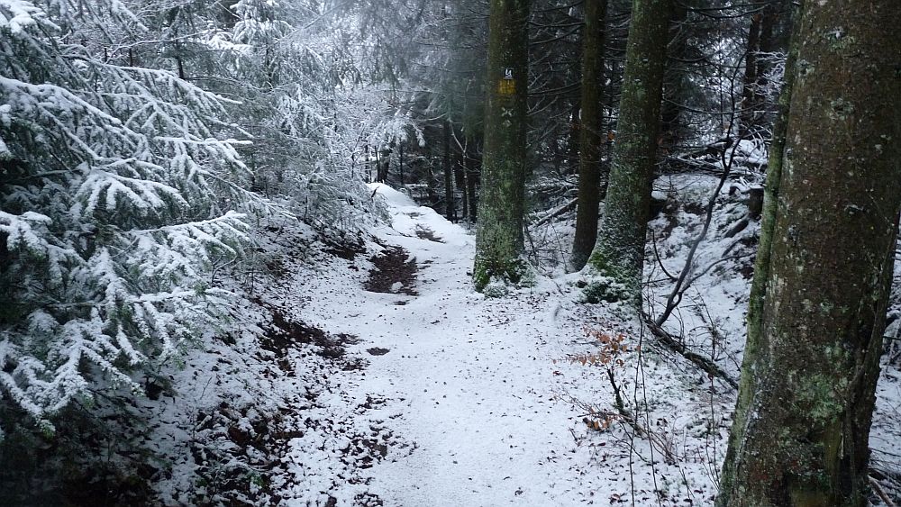 Sauerland Hoehenflug