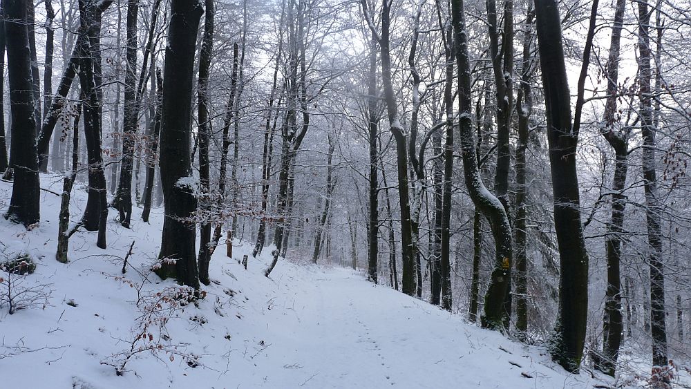 Sauerland Hoehenflug