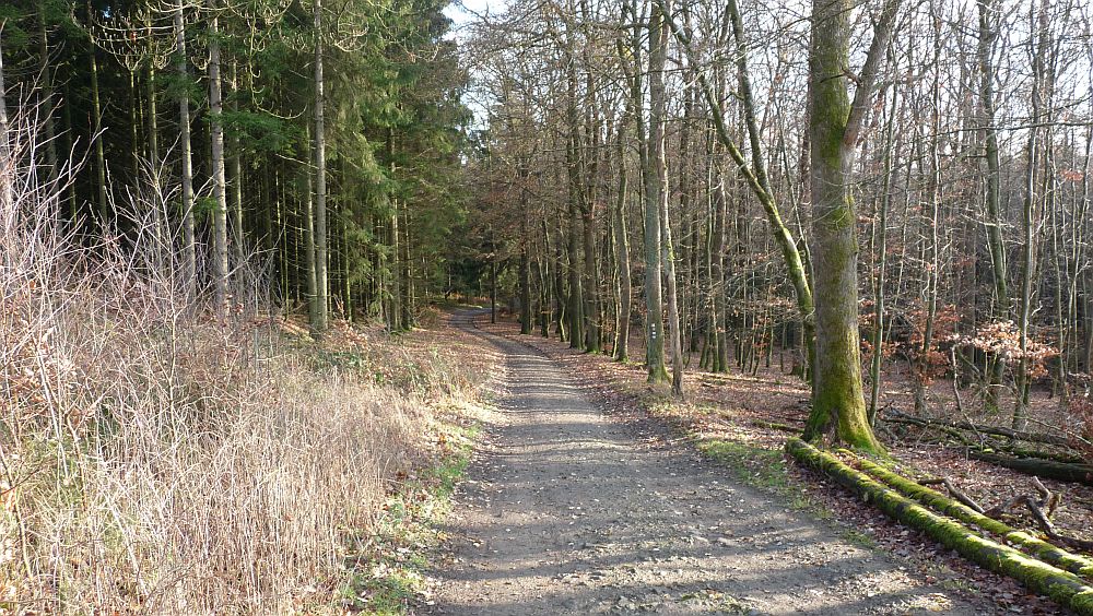 Sauerland Hoehenflug