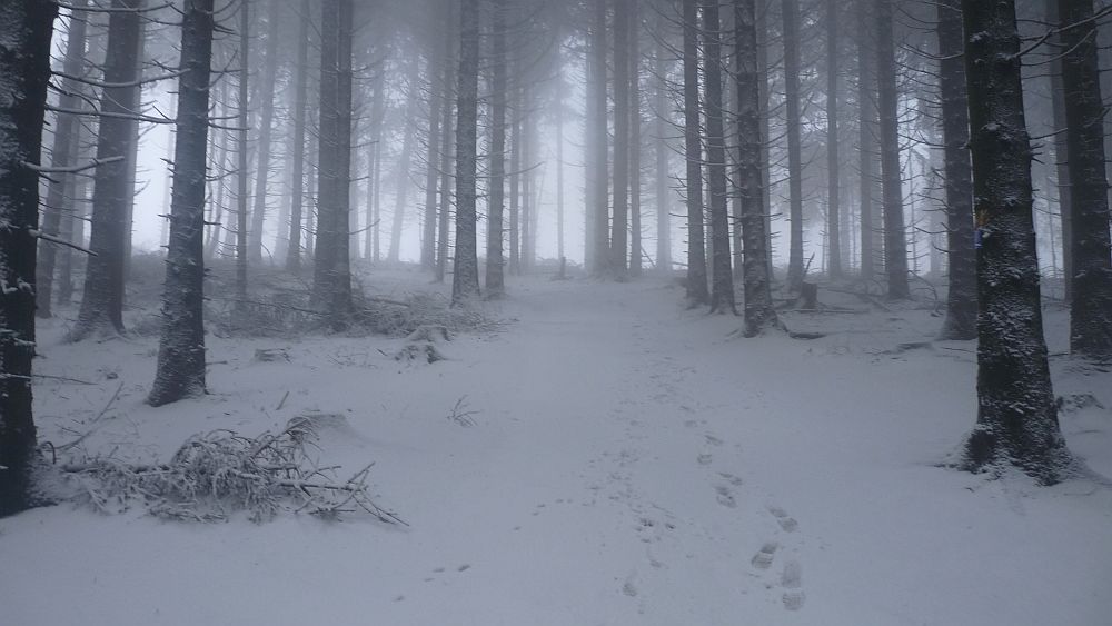 Sauerland Hoehenflug