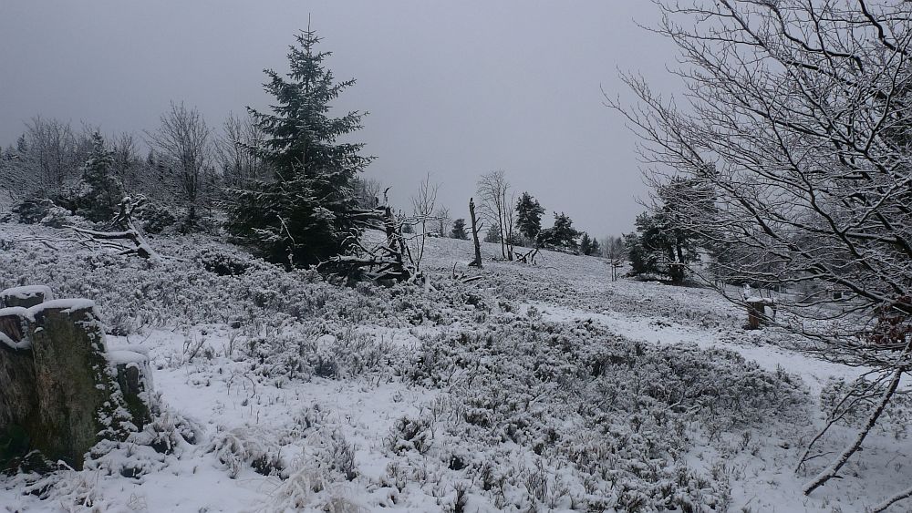Sauerland Hoehenflug