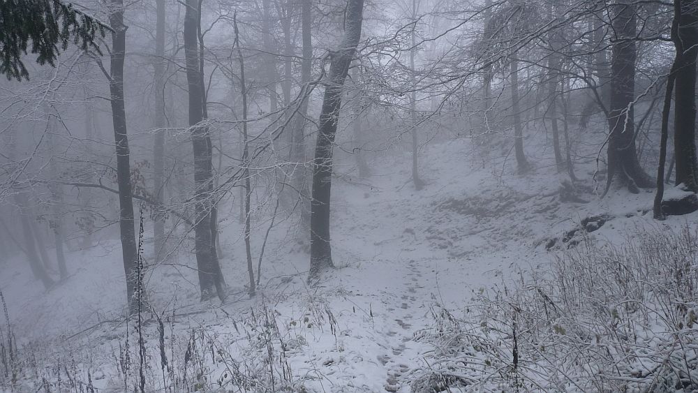 Sauerland Hoehenflug