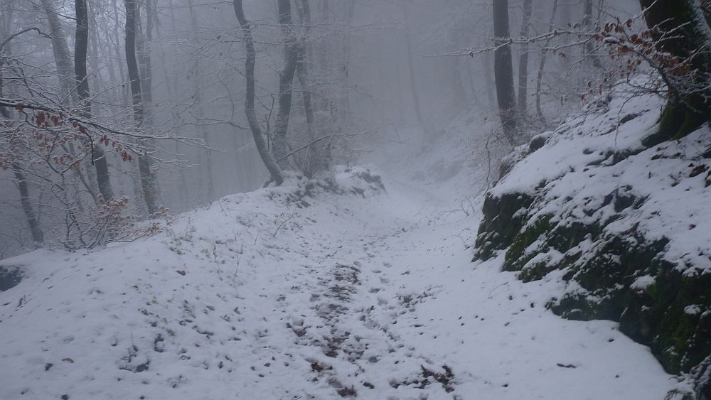 Sauerland Hoehenflug