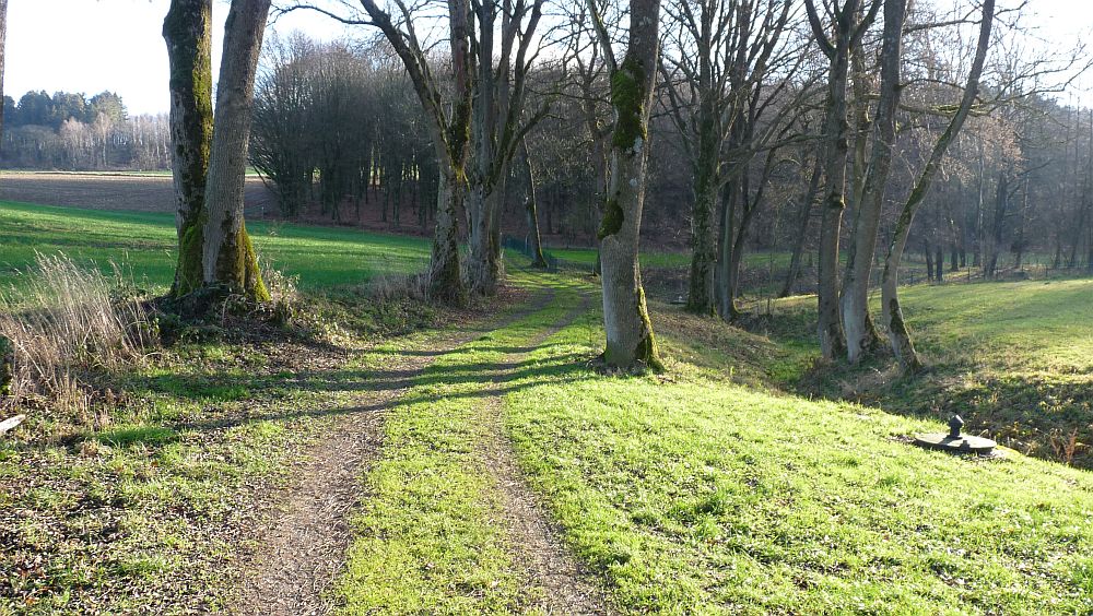 Sauerland Hoehenflug