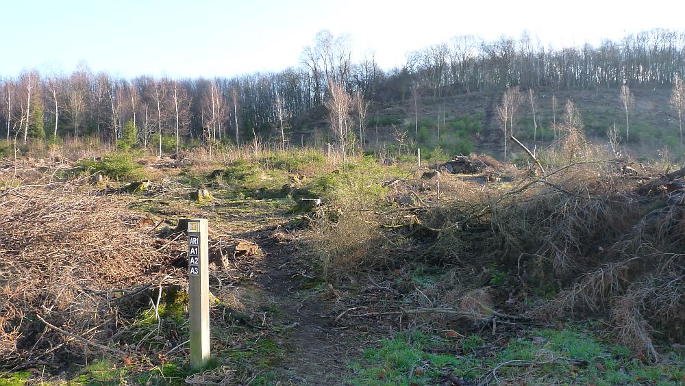 Sauerland Hoehenflug