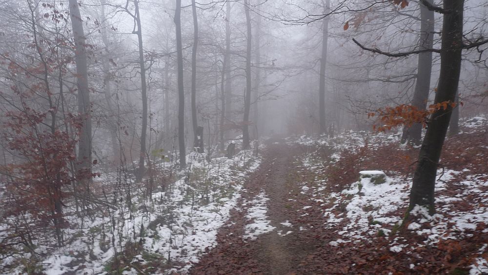 Sauerland Hoehenflug