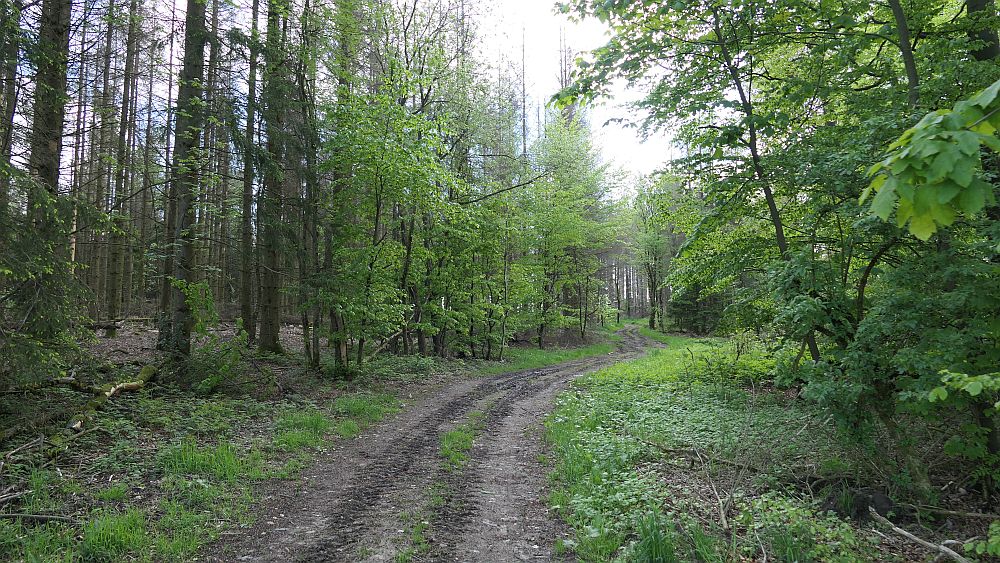 Sauerland Hoehenflug