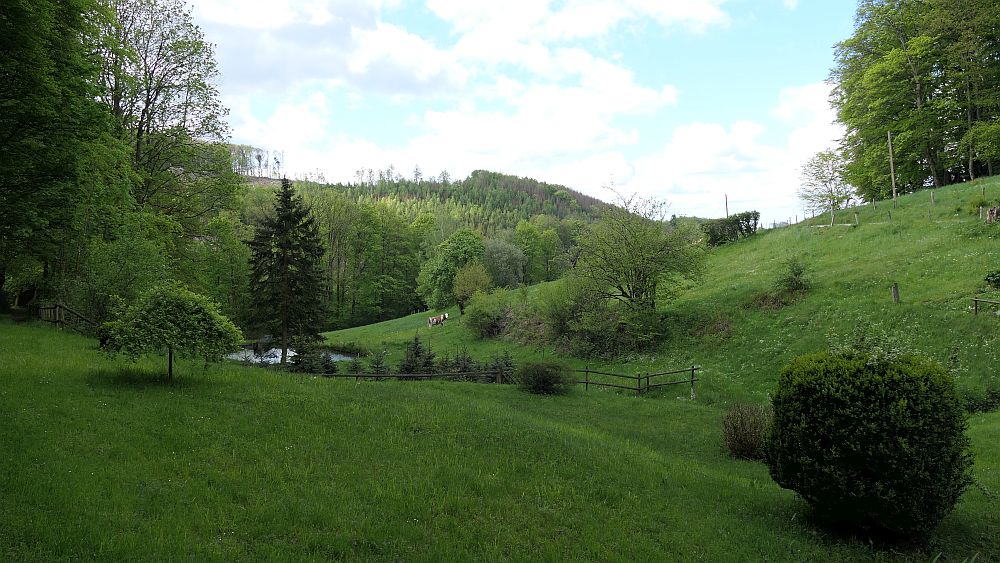 Sauerland Hoehenflug
