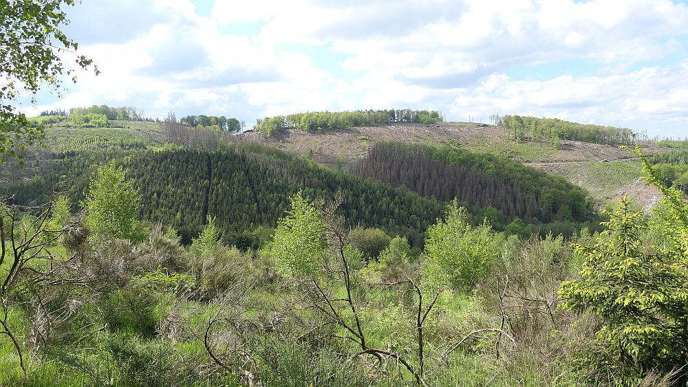 Sauerland Hoehenflug
