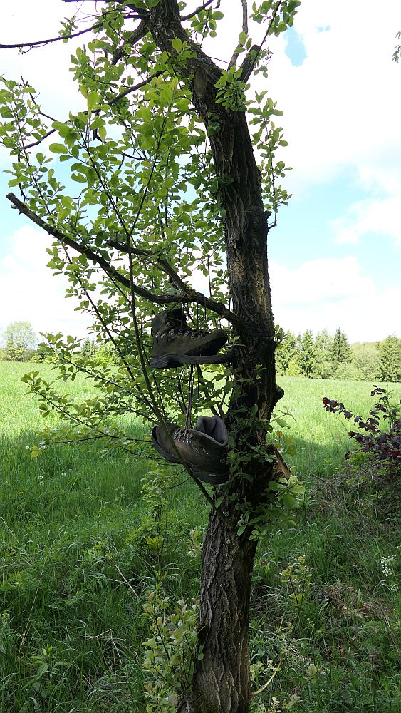 Sauerland Hoehenflug