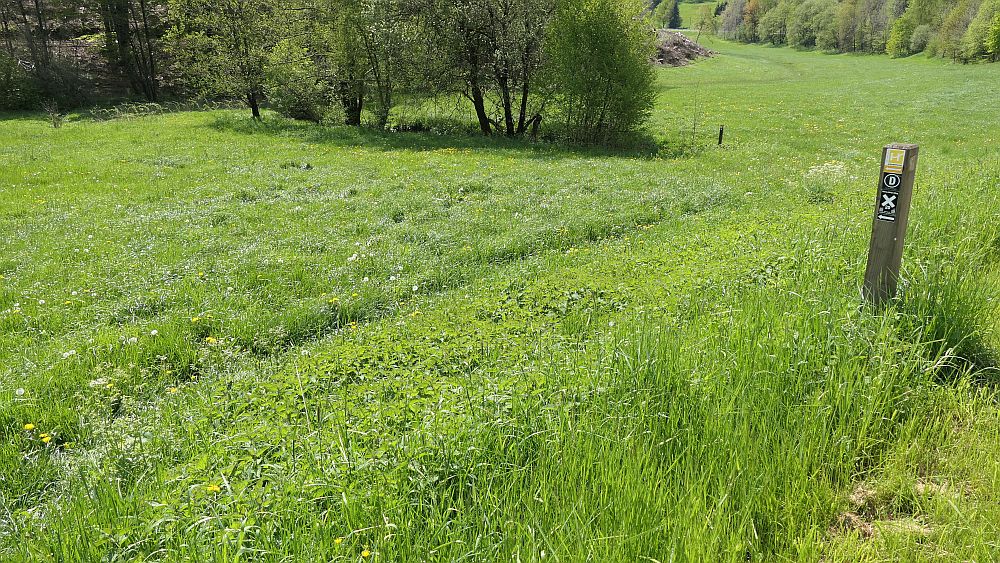 Sauerland Hoehenflug