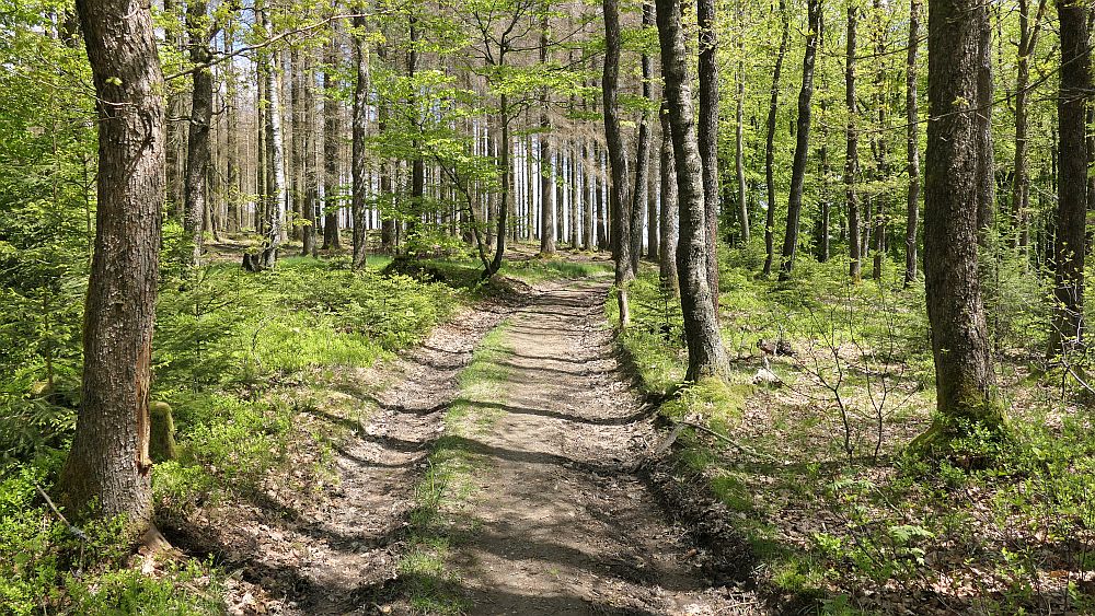 Sauerland Hoehenflug