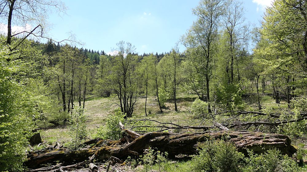 Sauerland Hoehenflug