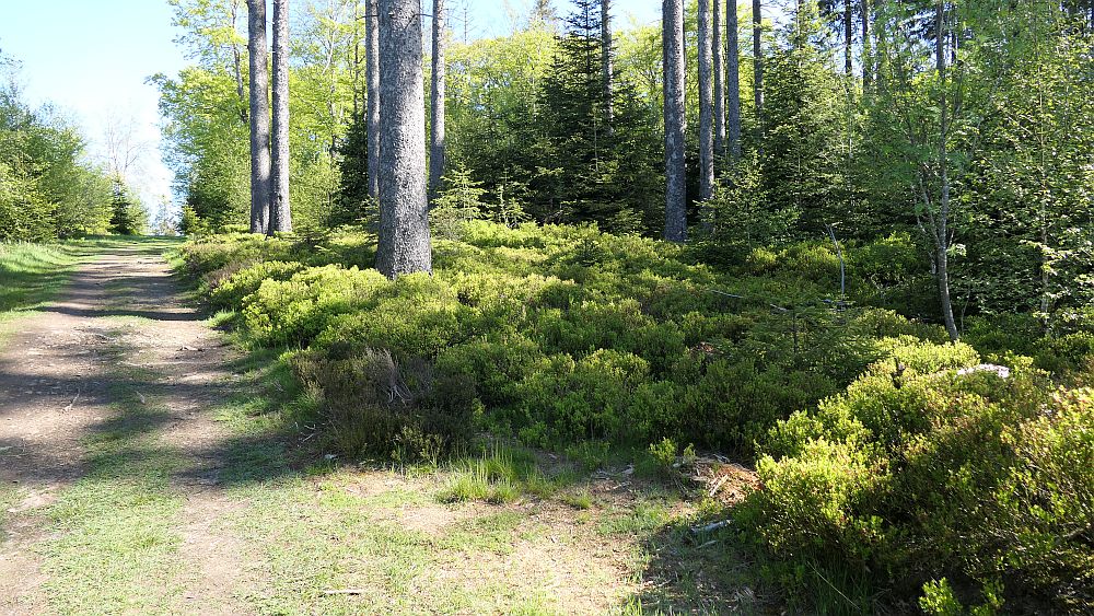 Sauerland Hoehenflug