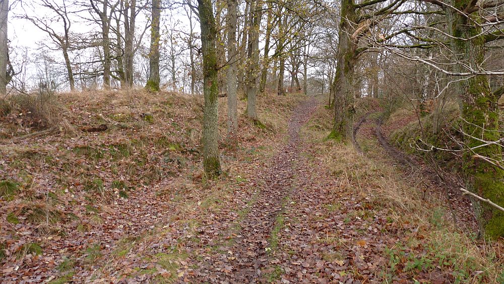 Sauerland Hoehenflug