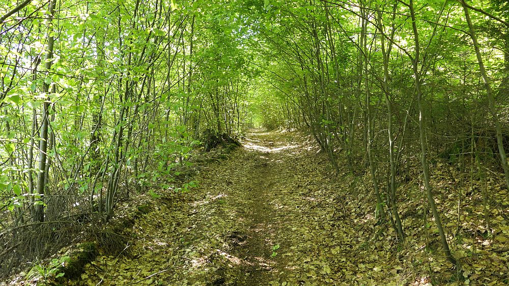 Sauerland Hoehenflug