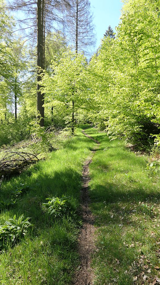 Sauerland Hoehenflug