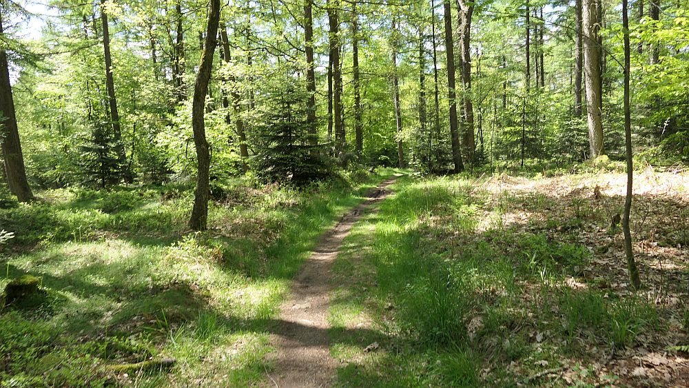 Sauerland Hoehenflug