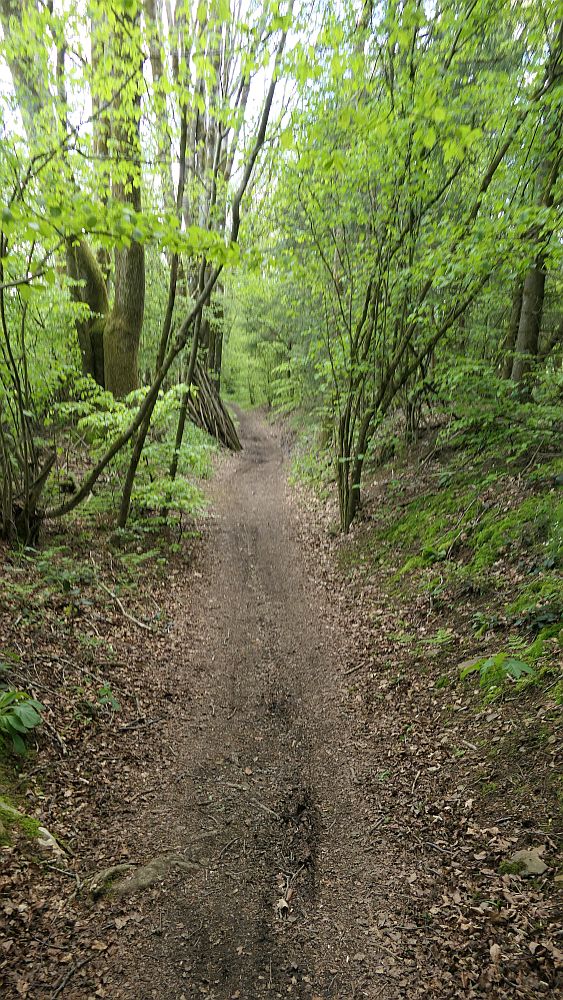 Sauerland Hoehenflug