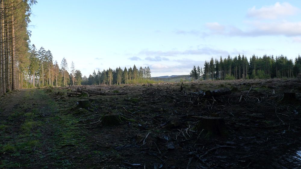 Sauerland Hoehenflug