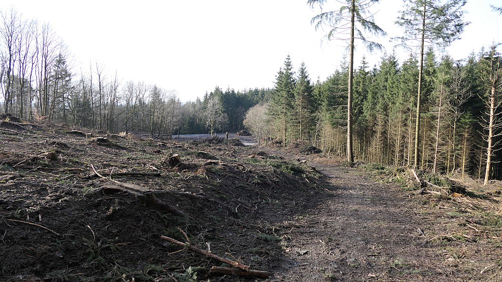 Sauerland Hoehenflug