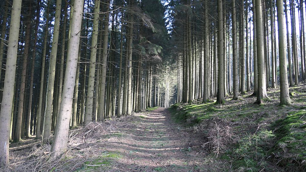 Sauerland Hoehenflug
