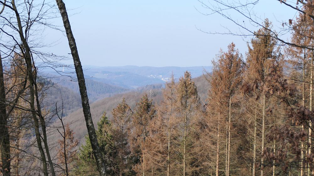 Sauerland Hoehenflug